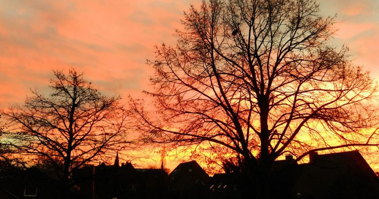 Novem­ber-Tage