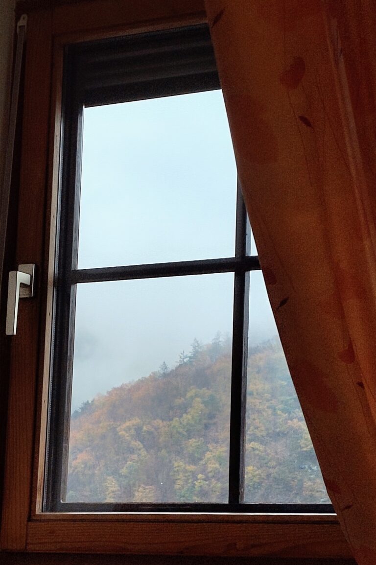 Nebel­ta­ge